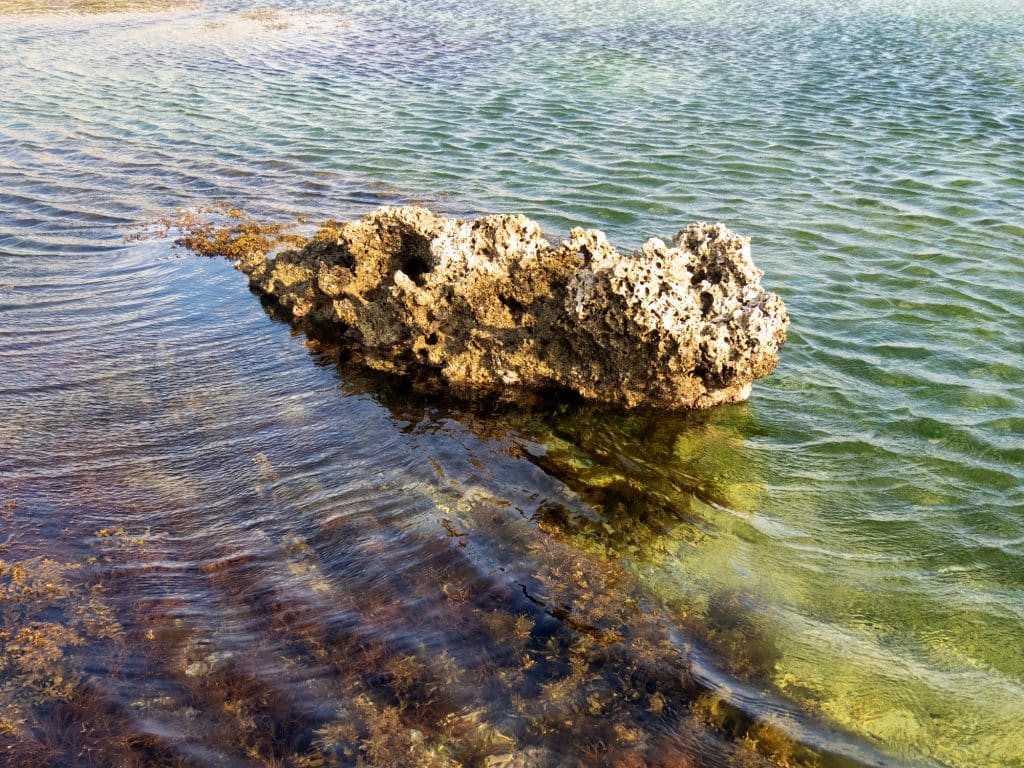 rock ripples in the tide pool